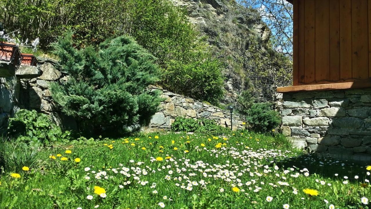 인트로드 Il Rifugio Della Volpe 아파트 외부 사진